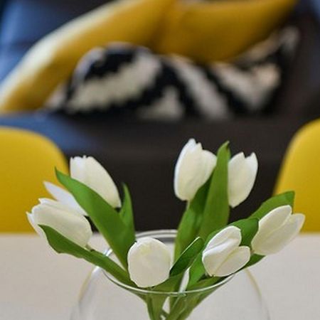 Mediterraneo Garden Apartments Petrčane Zimmer foto