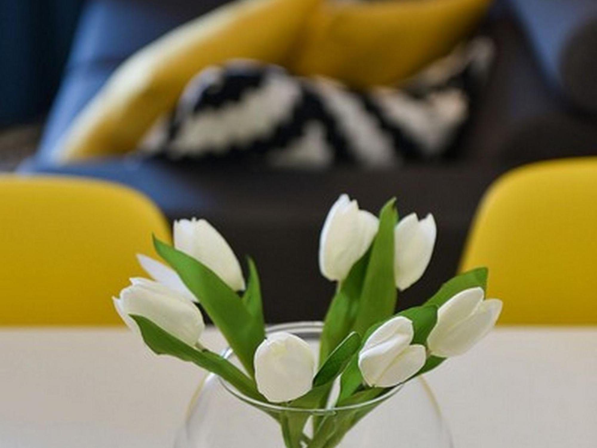 Mediterraneo Garden Apartments Petrčane Zimmer foto